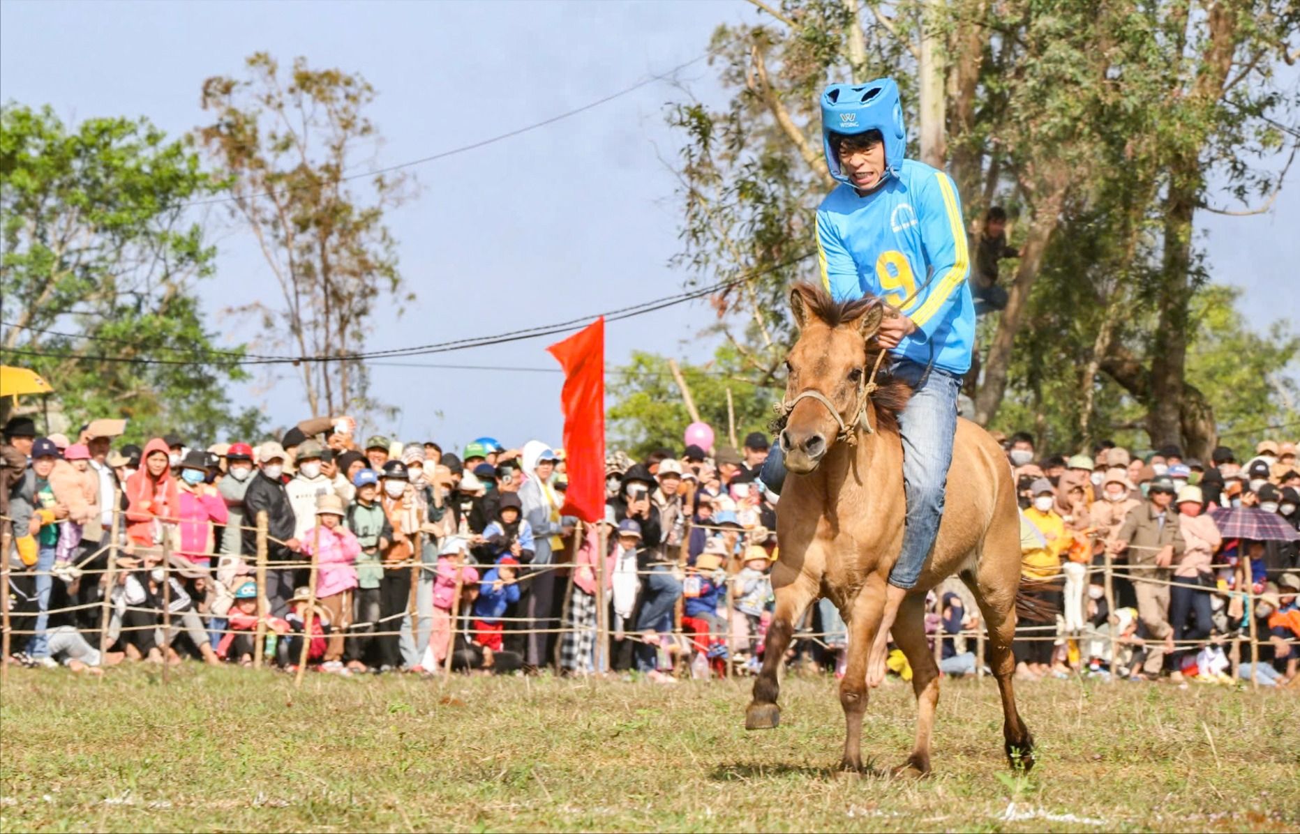 Đầu năm đến gò Thì Thùng xem 'kỵ sĩ nông dân' đua ngựa