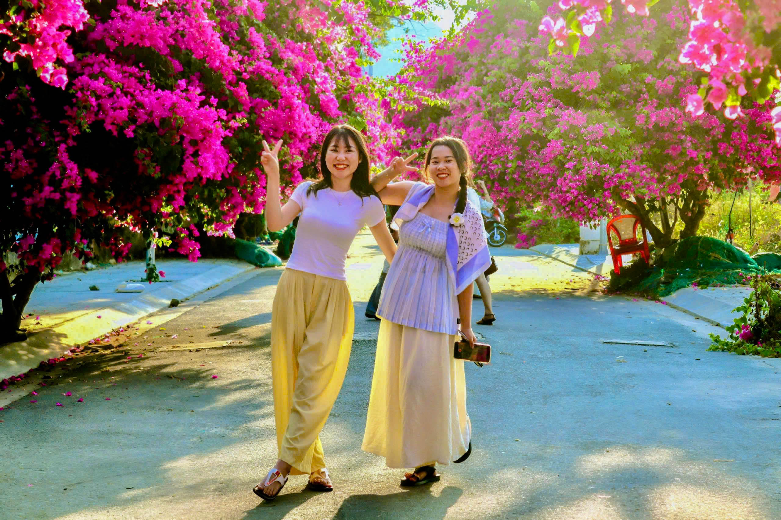 Xí chỗ để được check-in con đường hoa giấy tuyệt đẹp ở Nha Trang