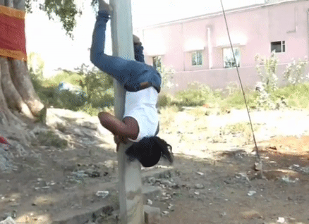 Thanh niên trồng chuối leo cột điện để giành Guinness thế giới