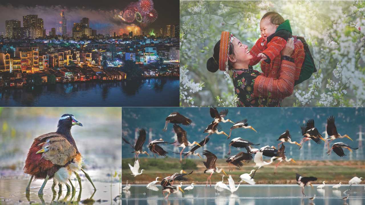 Hội Nhiếp ảnh TP.HCM, mùa xuân, trao giải, ảnh, xuân bính ngọ