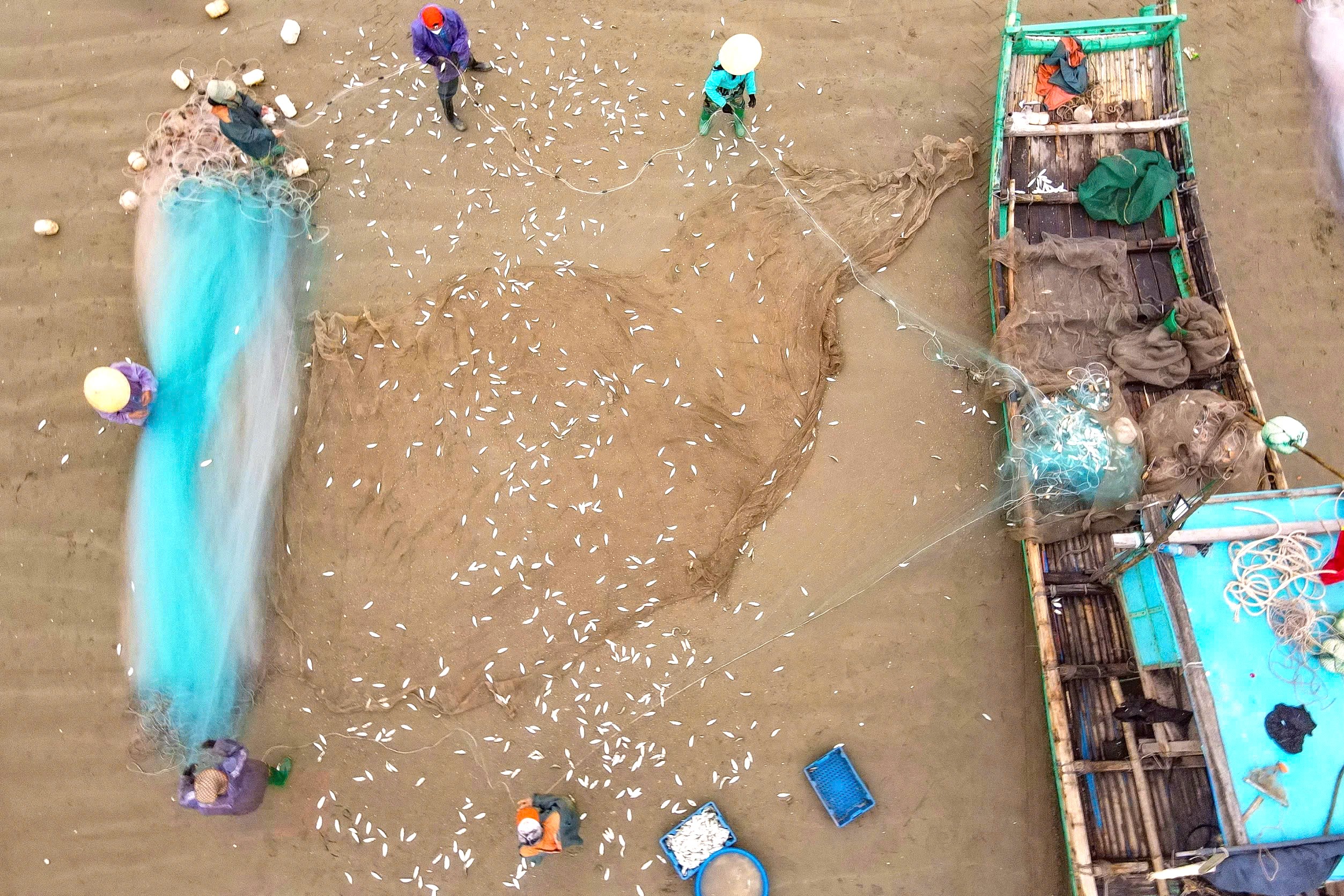 Ngư dân Thanh Hóa trúng đậm mùa cá trích