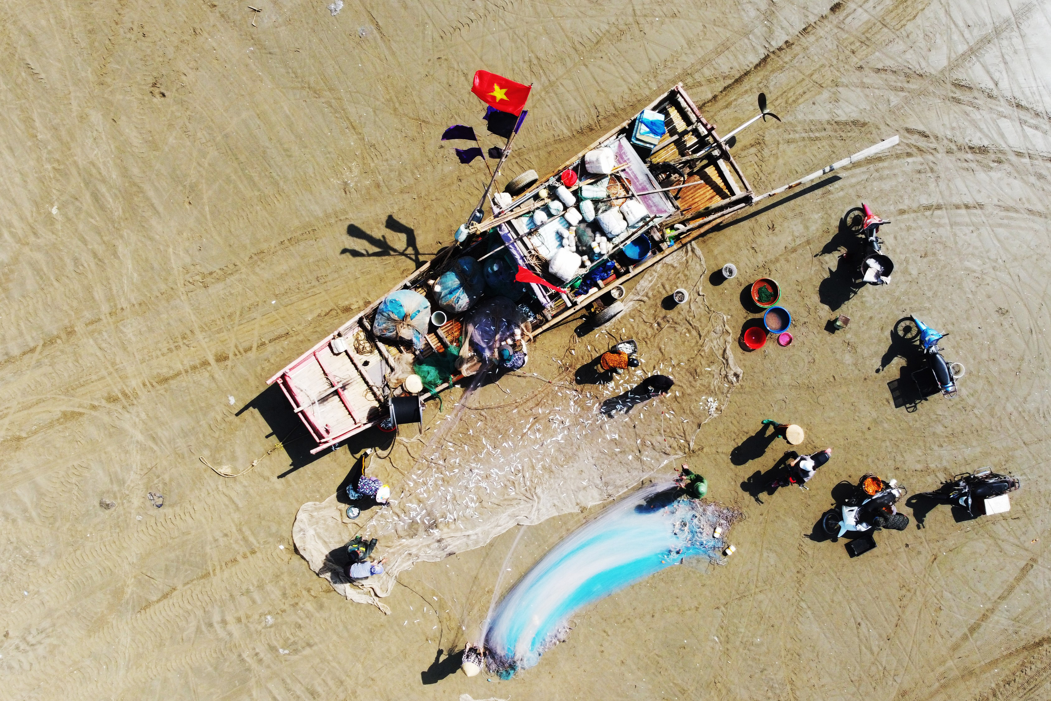 Cận cảnh ngư dân mưu sinh mùa cá trích giữa lúc giá xăng dầu tăng cao