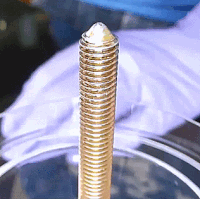 Những bức ảnh động khiến bạn không thể ngừng ngắm ảnh 2