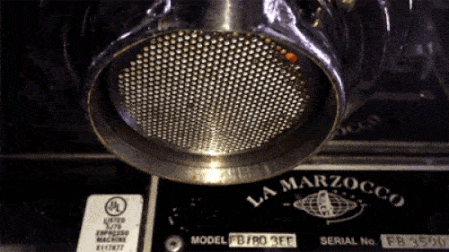 Những bức ảnh động khiến bạn không thể ngừng ngắm ảnh 8