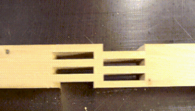 Những bức ảnh động khiến bạn không thể ngừng ngắm ảnh 10