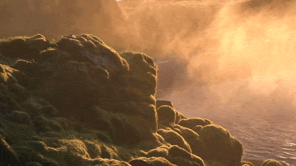 Mãn nhãn những bức ảnh động về thiên nhiên đẹp đến "nghẹt thở" ảnh 15