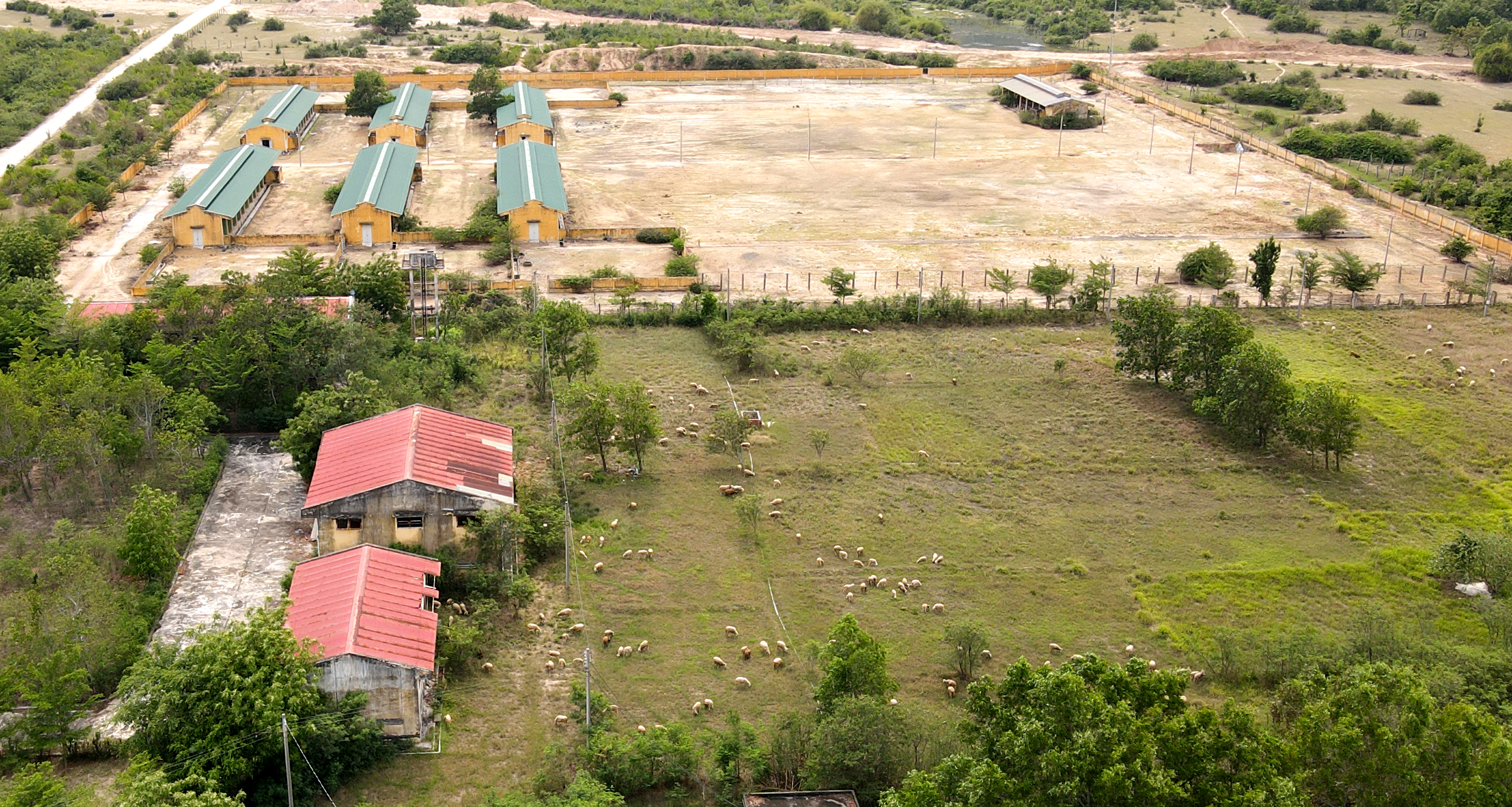 Dự án dùng 50 ha đất trồng cỏ chỉ để nuôi hơn 500 con dê, cừu