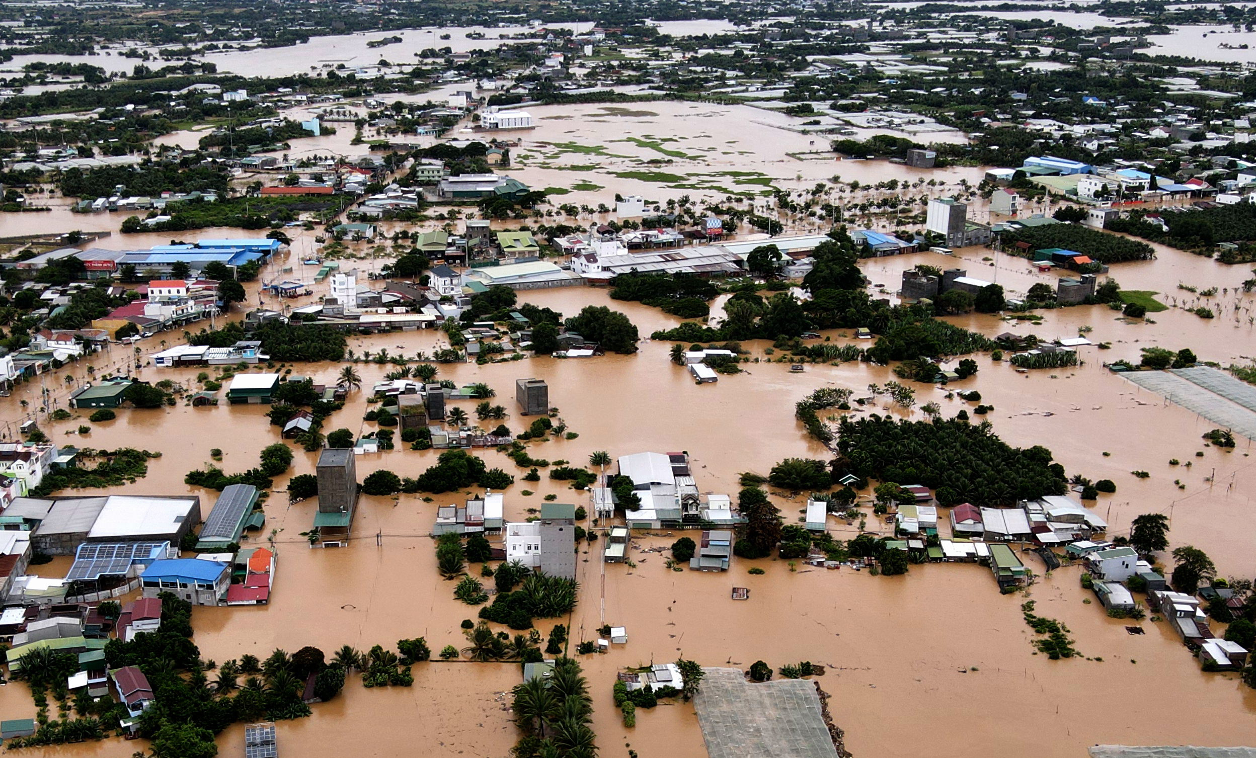 Hạ du Phan Rang chìm trong biển nước