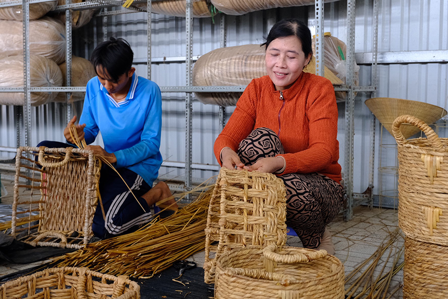 Khi cỏ dại 'hái ra' ngoại tệ