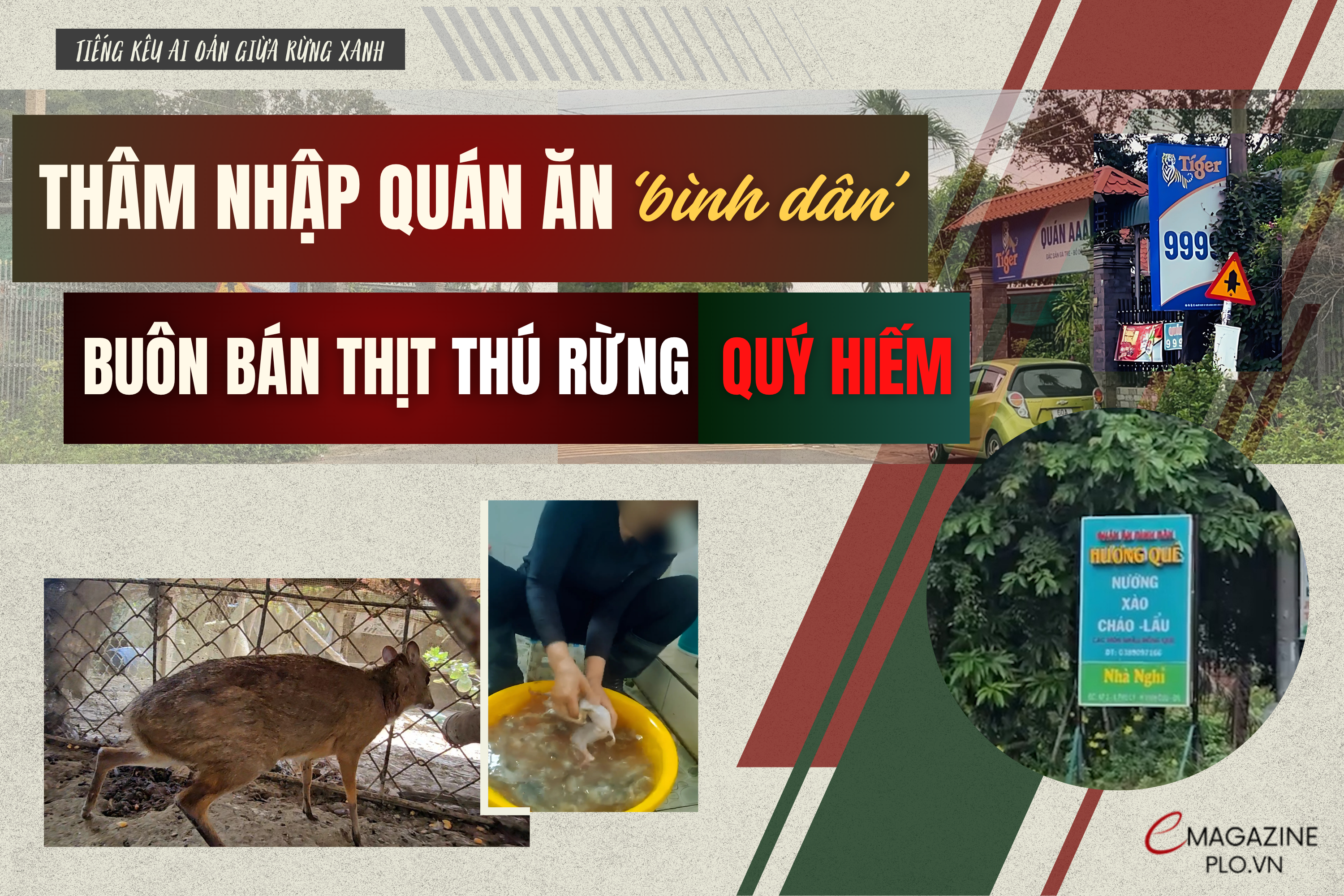 Điều tra: Bên trong các quán ăn ‘bình dân’ ở Đồng Nai rao bán 'thịt rừng 100%'