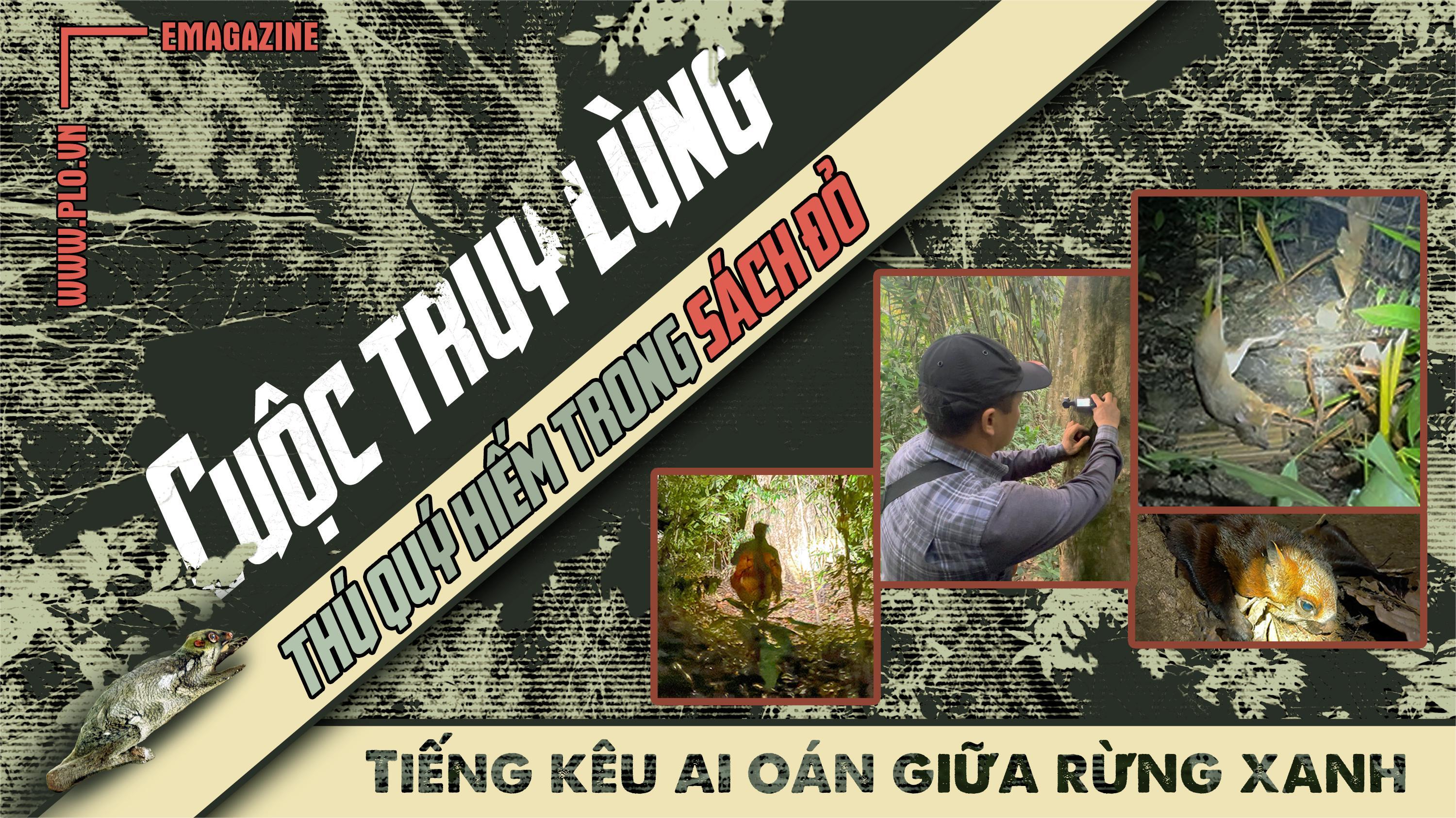 Điều tra: Cận cảnh động vật quý, hiếm ở Vườn quốc gia Cát Tiên bị bắn, bẫy