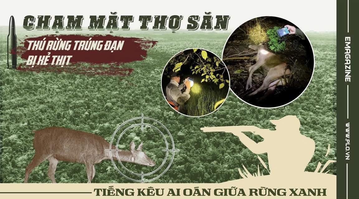 Điều tra: Chạm mặt cánh thợ săn, thú rừng Vườn quốc gia Cát Tiên trúng đạn và bị xẻ thịt 