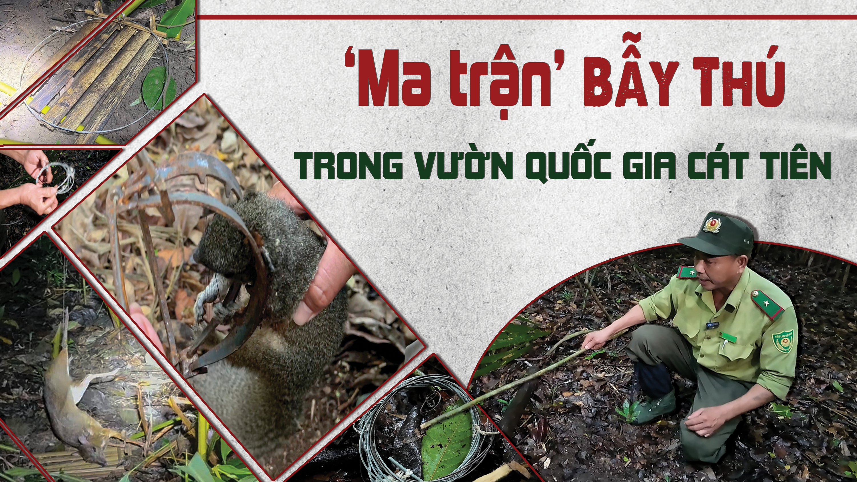 Điều tra: Mục sở thị 'ma trận' bẫy thú ở Vườn quốc gia Cát Tiên 