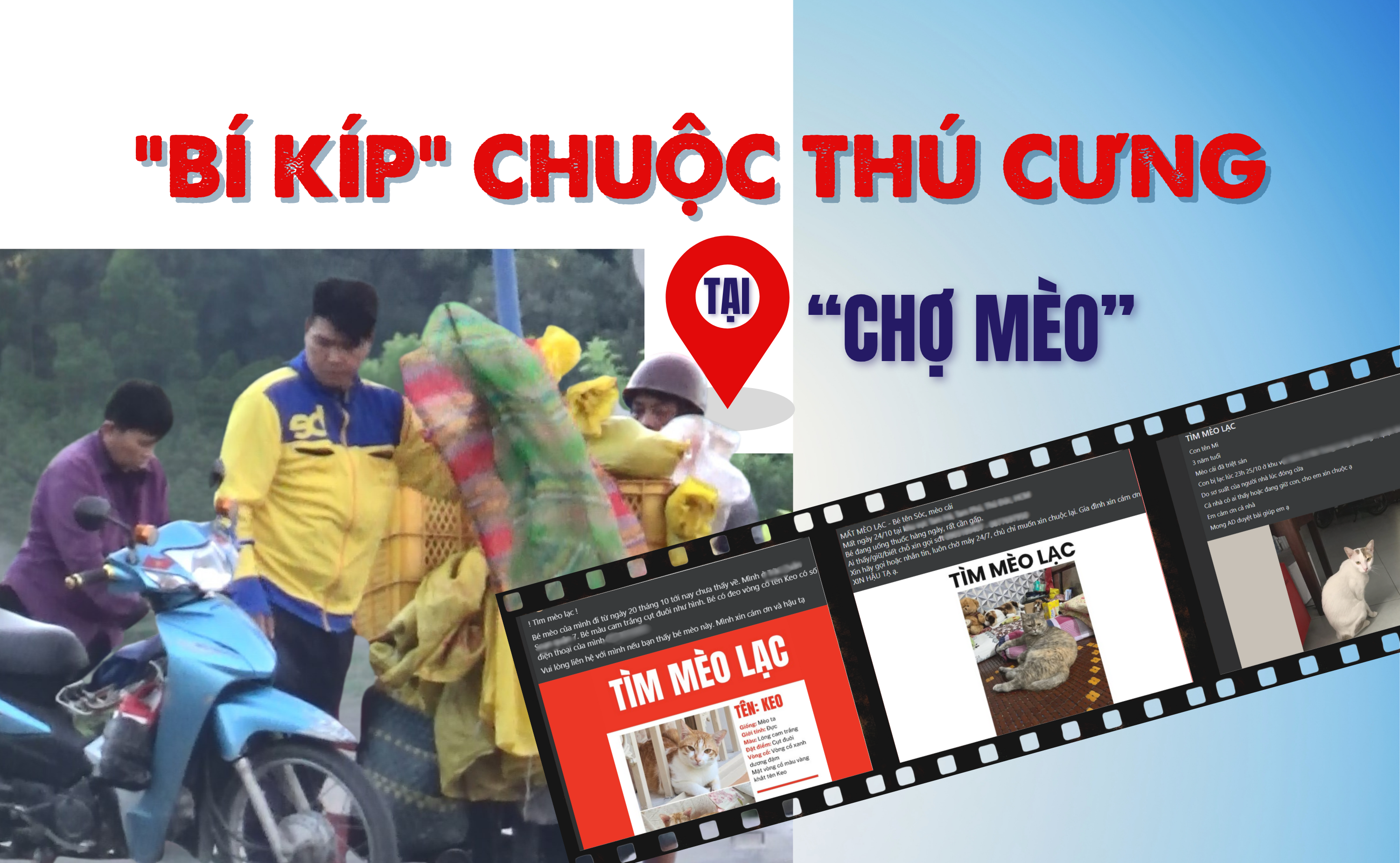 Thâm nhập đường dây 'mèo tặc' - Bài 3: Giáp mặt kẻ trộm, nghe cách ra giá chuộc mèo 