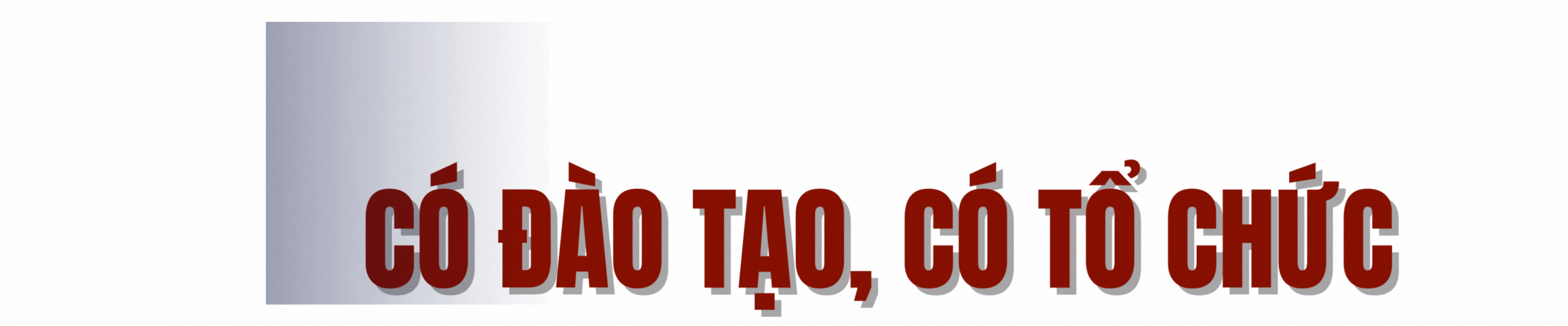 mèo tặc (3).gif