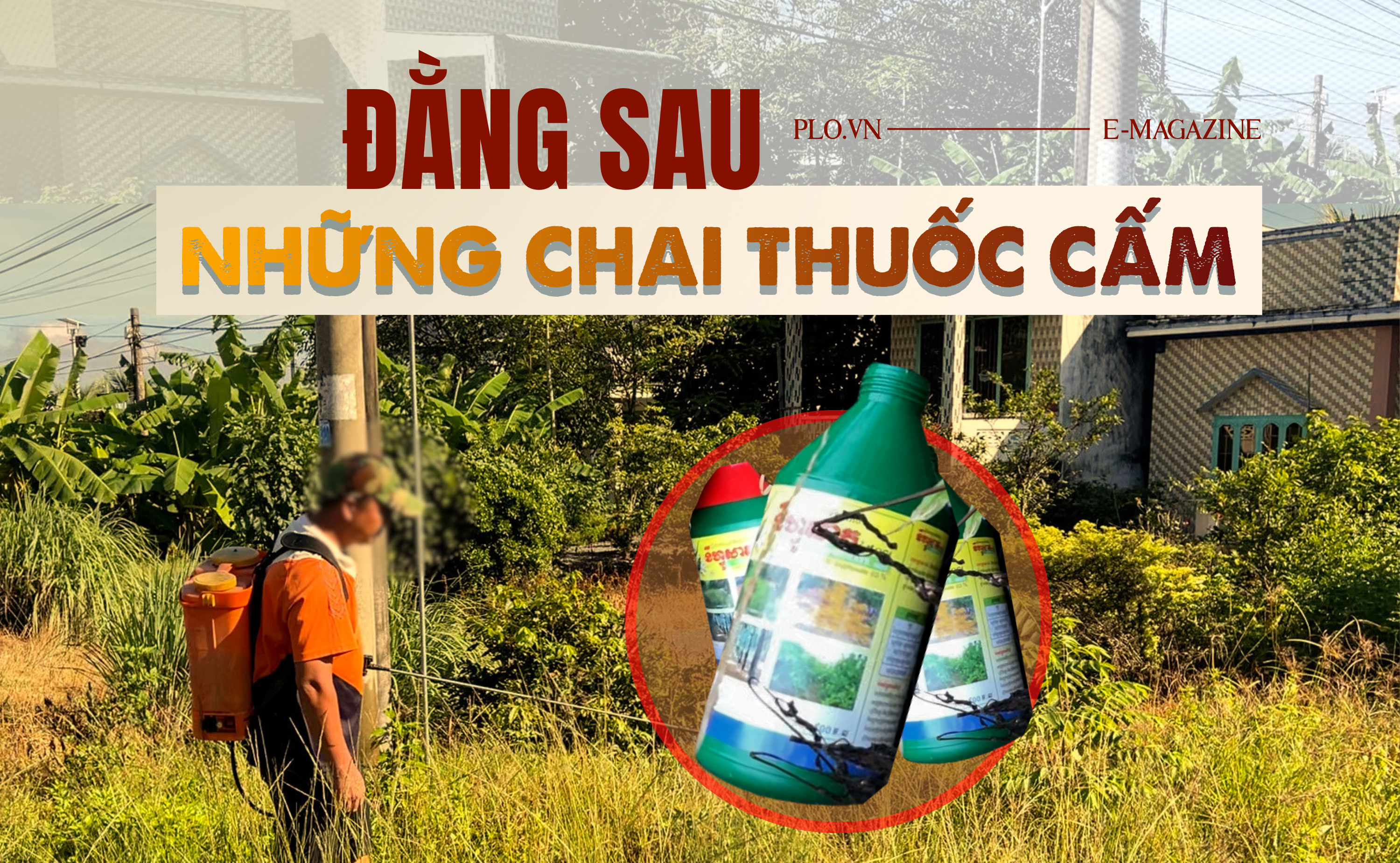 ĐIỀU TRA bài 3: Thuốc cấm được 'chuyển phát nhanh' đến đồng ruộng