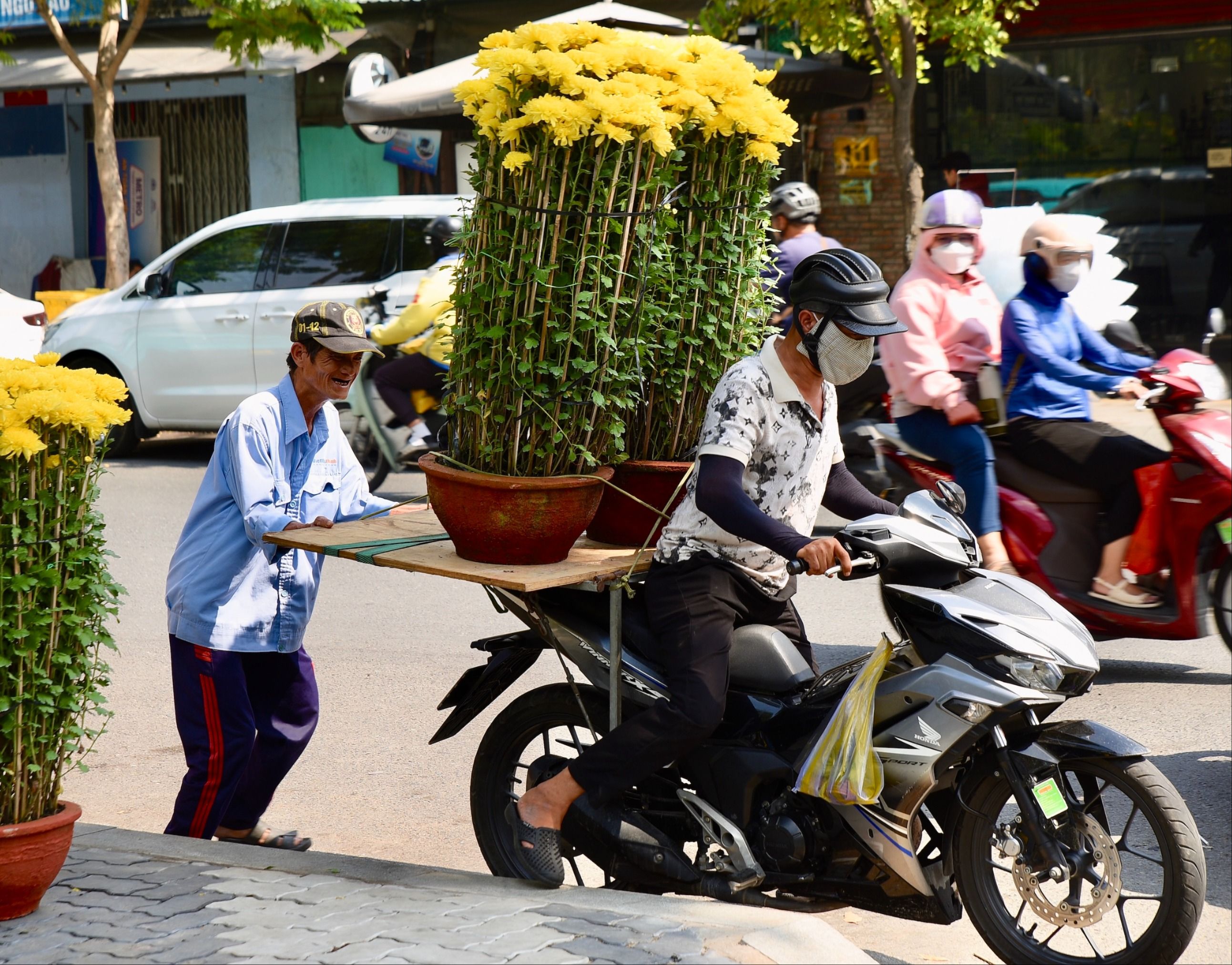 hoa, hoa tết, chợ hoa, tết, Bính Ngọ 2026, xuân