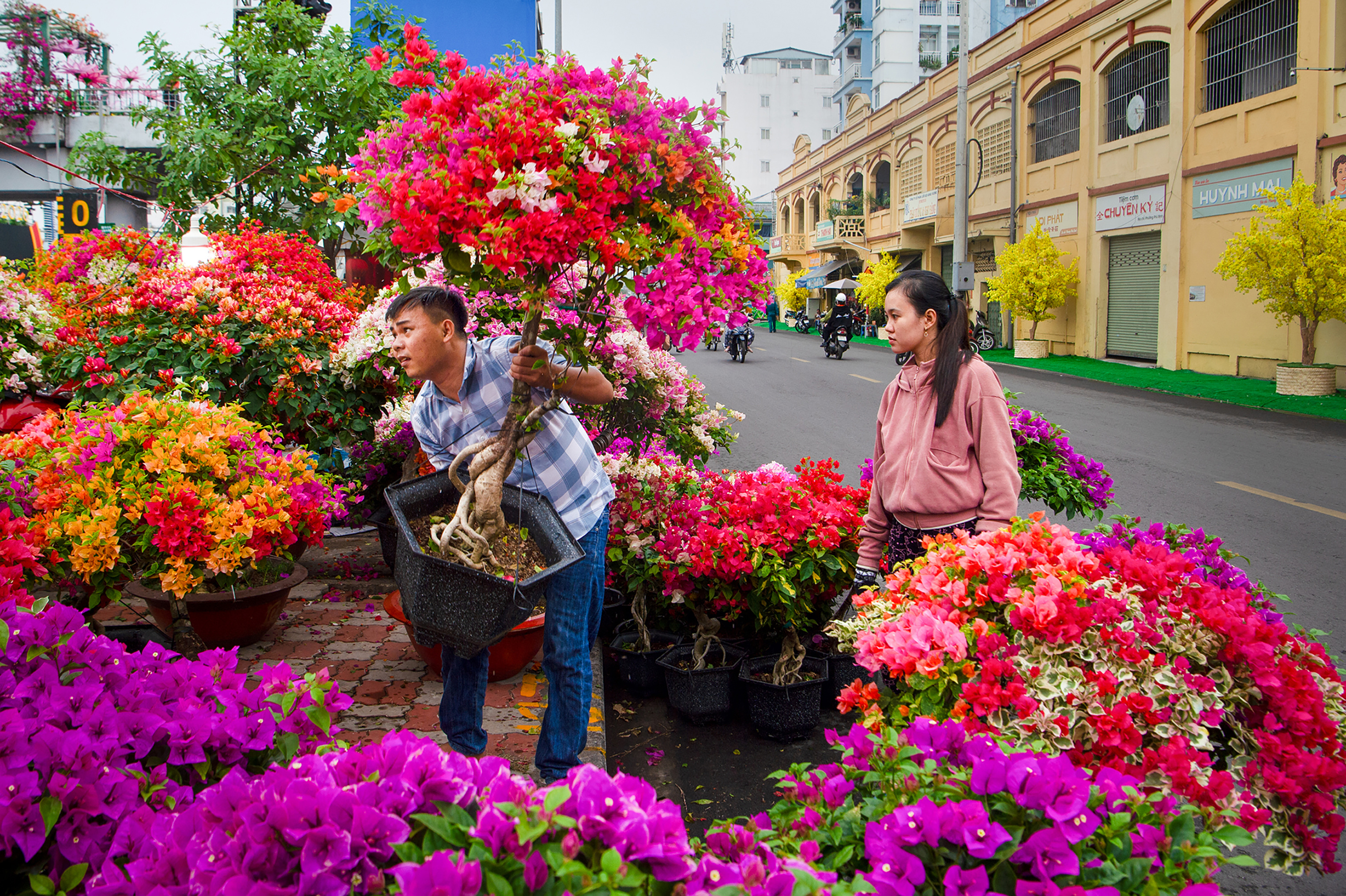Nhìn lại hình ảnh rộn ràng chợ hoa xuân ‘Trên bến dưới thuyền’ Tết Bính Ngọ 2026