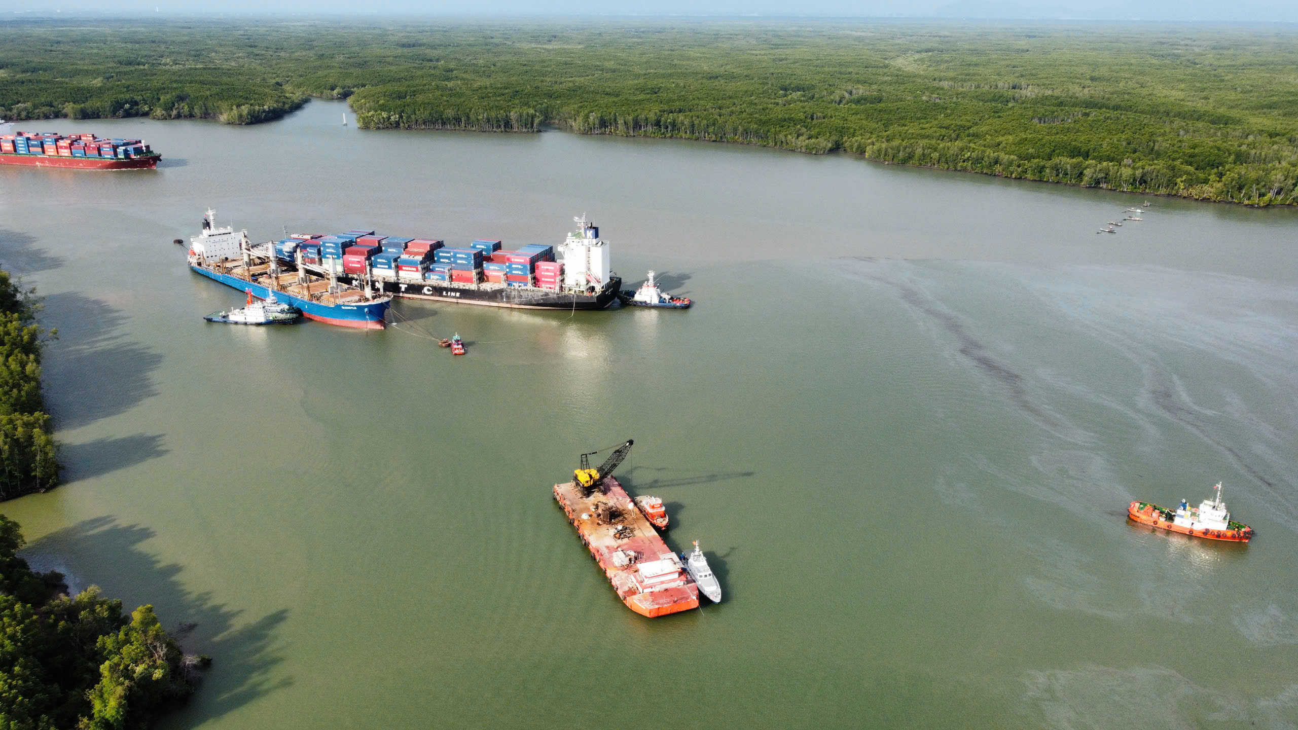 30 ha rừng bị ảnh hưởng, hơn 4 tấn cá chết sau sự cố va chạm tàu hàng gây tràn dầu ở Cần Giờ