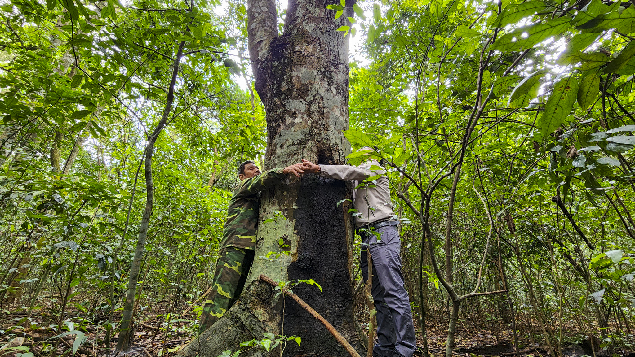 Khám phá khu rừng nguyên sinh duy nhất giữa đồng bằng Quảng Trị