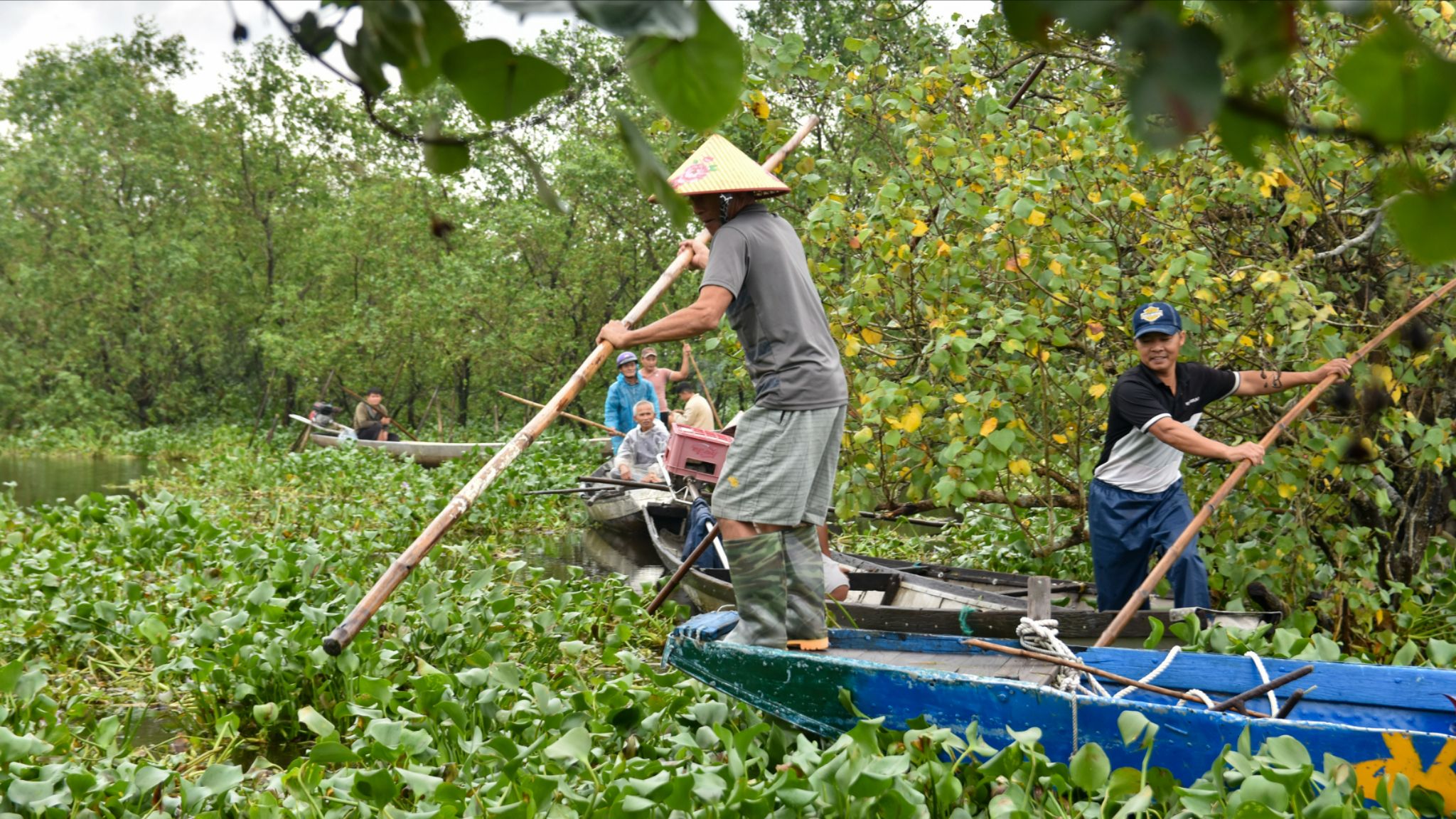 Chợ nổi nổi tiếng nhất xứ Huế bị 20 tấn lục bình 'bao vây' bóp nghẹt