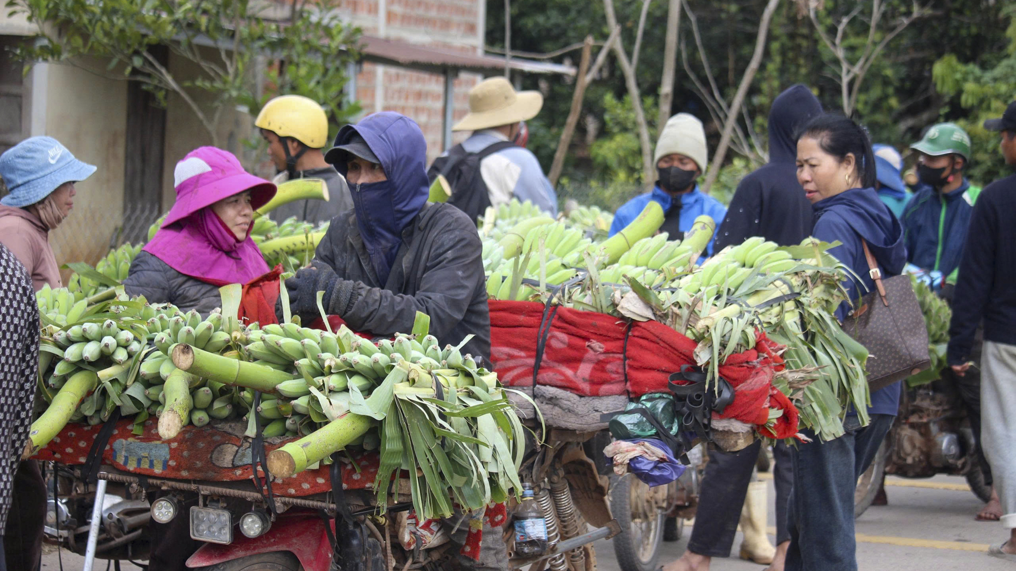 Sầm uất phiên chợ chuối mật mốc tại biên giới Quảng Trị dịp Tết