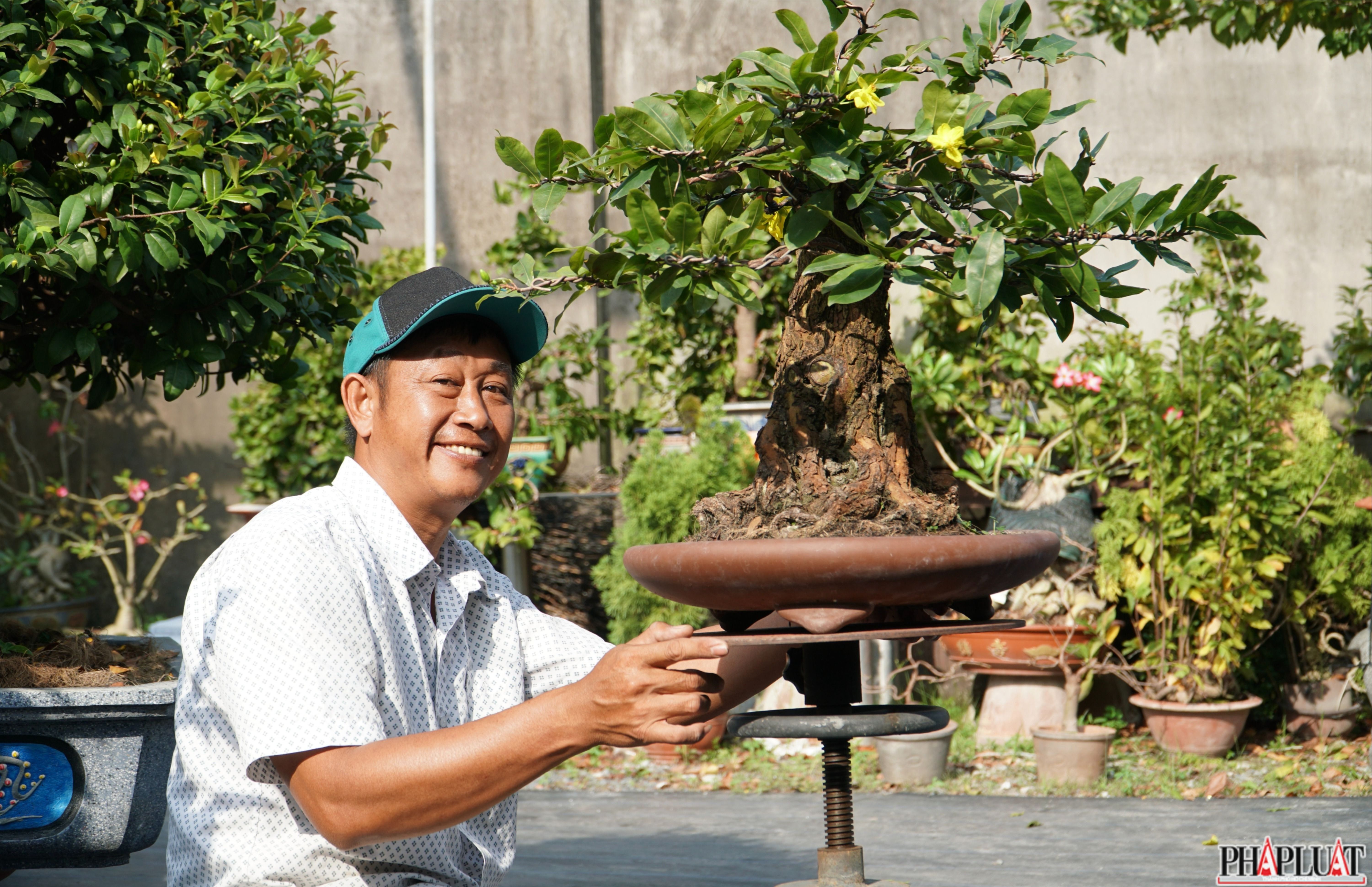 'Thủ phủ' mai vàng tại TP.HCM bắt đầu lặt lá, nhà vườn hy vọng trời nắng ấm để vụ Tết bội thu 