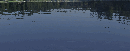 Hình minh họa hiệu ứng động mặt hồ gợn sóng được tạo ra bởi phần mềm