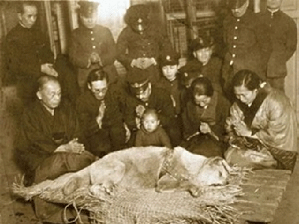 Bức ảnh vô giá về cái chết của chú chó Hachiko ảnh 1