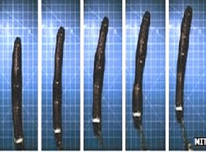 Lầu Năm Góc tham gia chế "sâu trinh sát" Meshworm ảnh 1