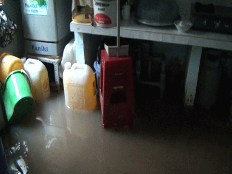 Nước lớn tràn bờ bao, mai chìm, cá bị cuốn trôi