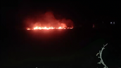 1 người đốt rác, cả khu dân cư huy động xô chậu dập lửa nhiều giờ trong đêm