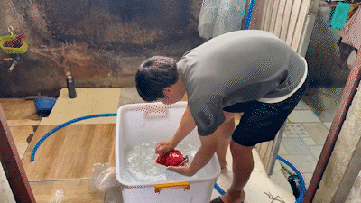 Video quy trình 'phù phép' thịt lợn thành thịt nhím, nai, bắp dê Úc