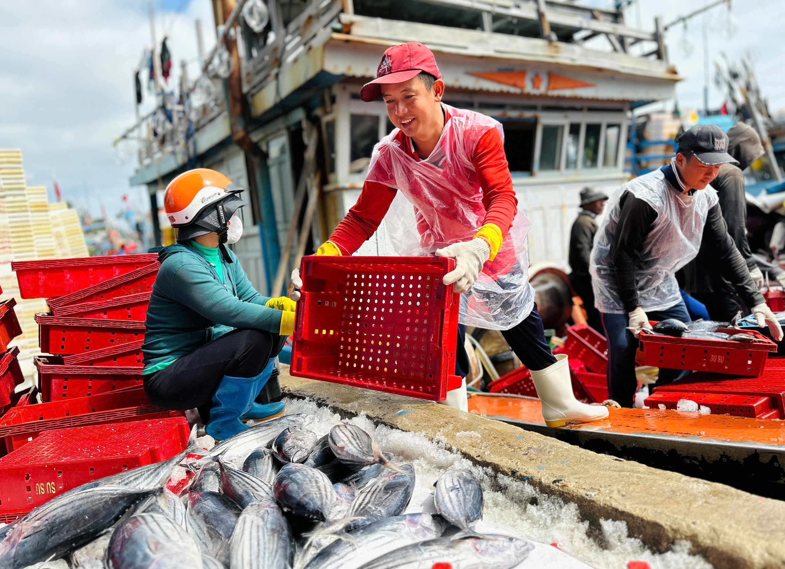 Ngư dân Quảng Ngãi bội thu chuyến biển ngày giáp Tết