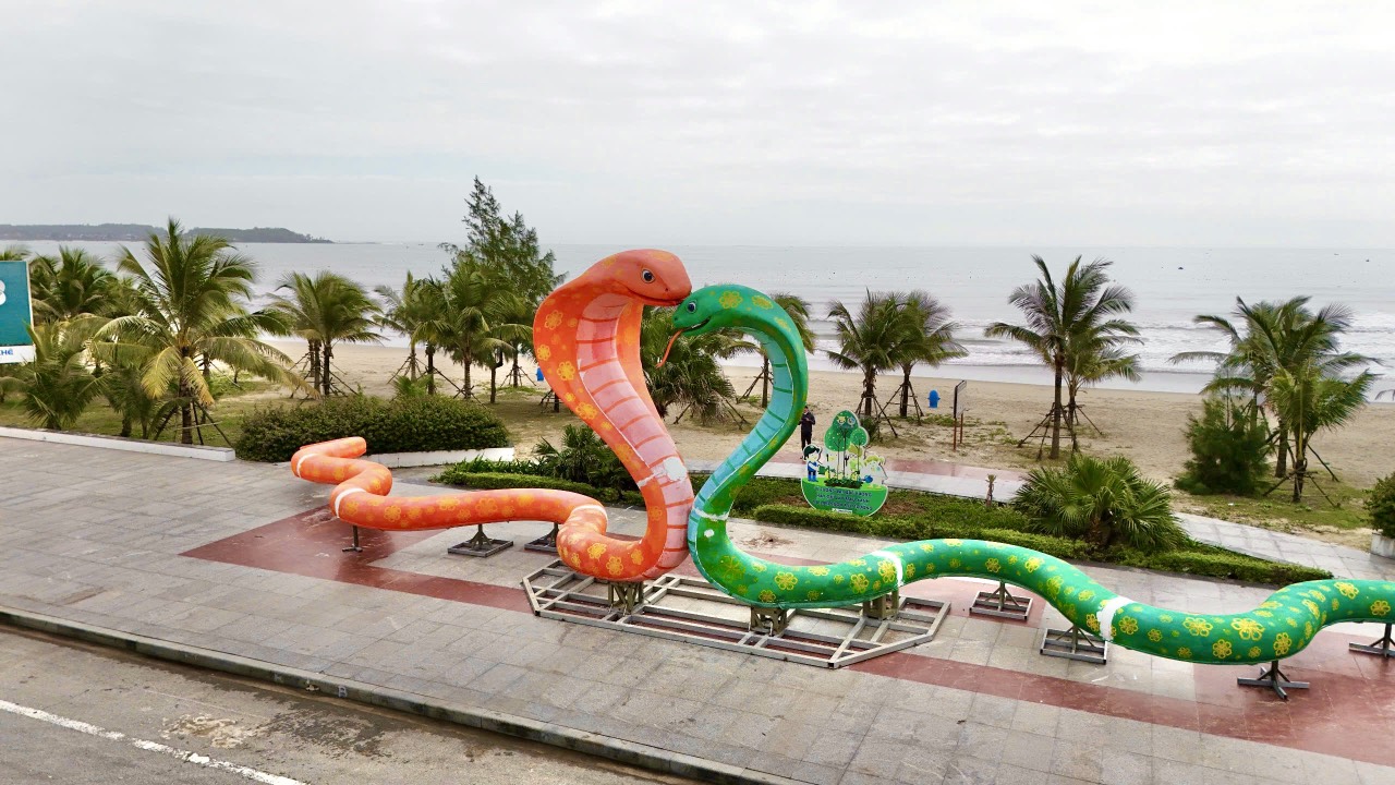 Quảng Ngãi đưa cặp linh vật rắn về biển Mỹ Khê phục vụ du khách