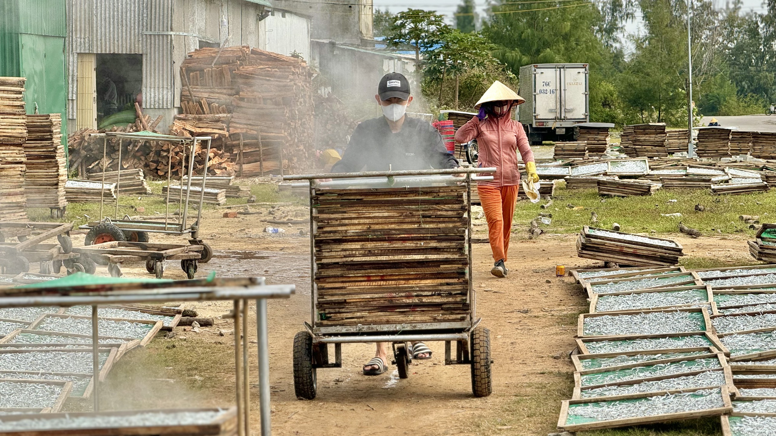 Nhộn nhịp mùa phơi cá cơm khô ở Quảng Ngãi