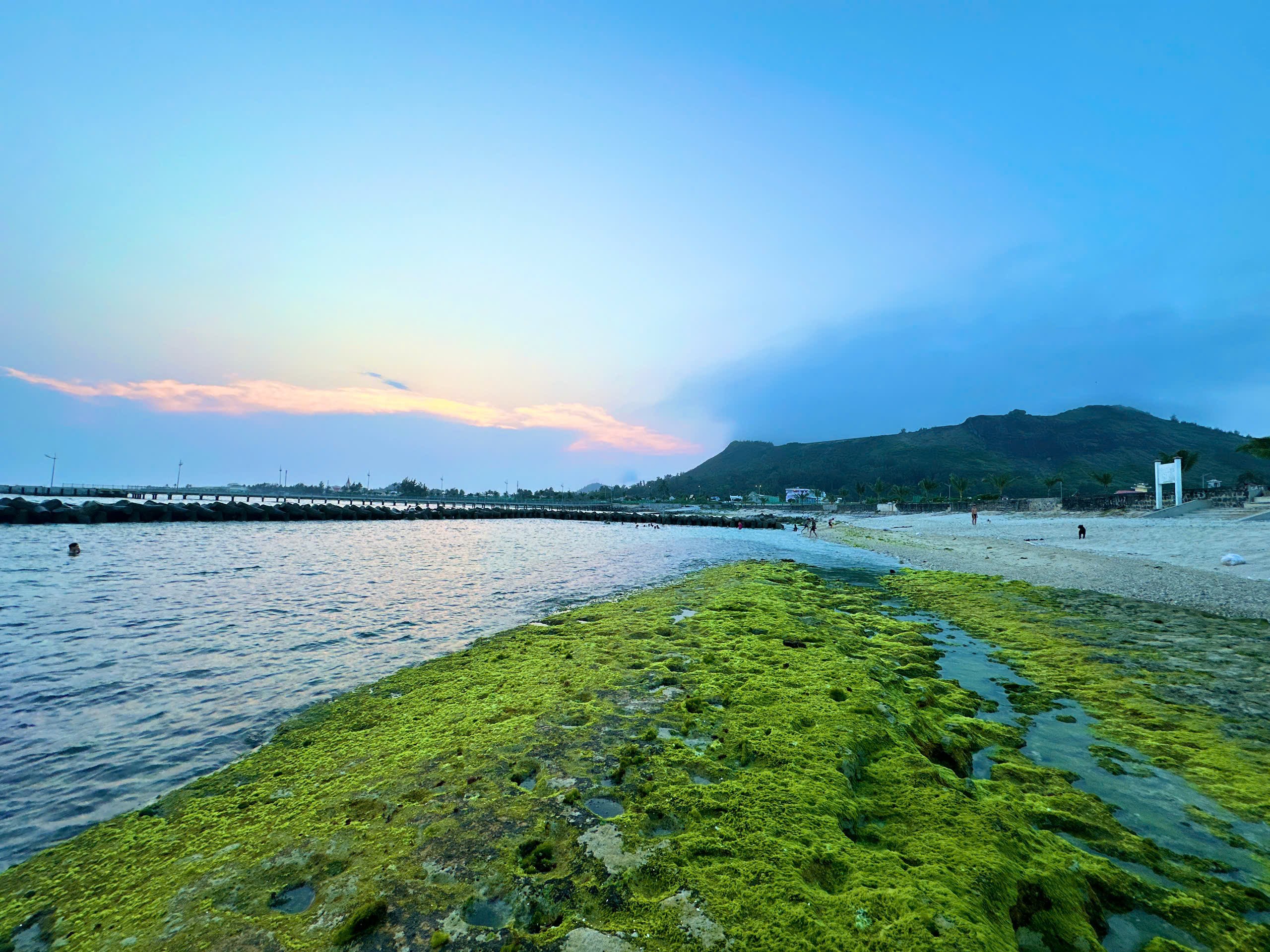 Mùa rêu xanh tuyệt đẹp trên đảo Lý Sơn