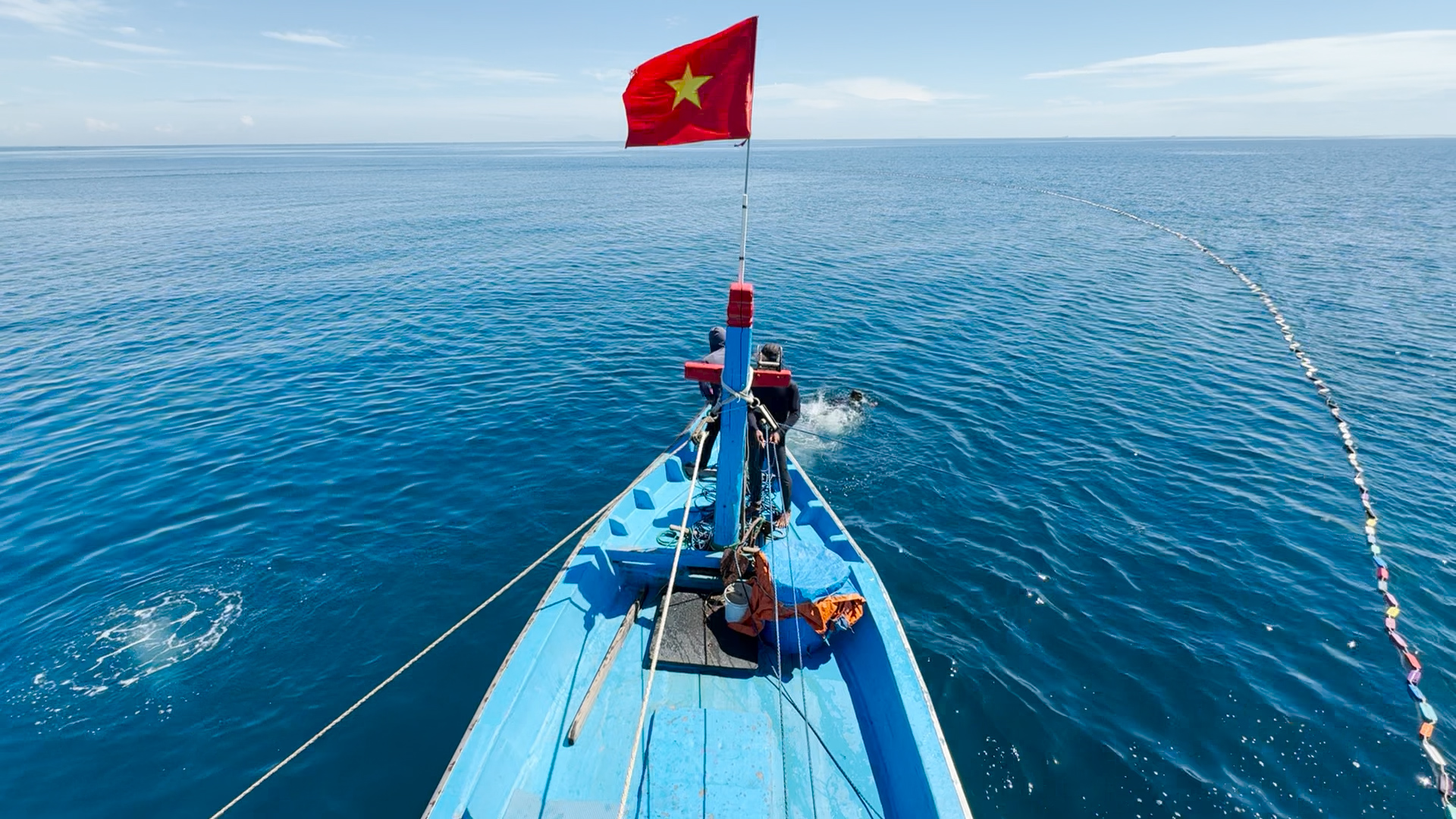 Theo ngư dân Quảng Ngãi vây cá ngừ giữa biển