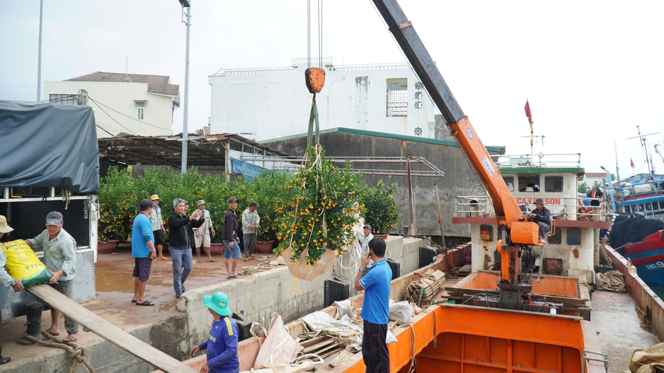 Tấp nập chở hàng, hoa Tết từ đất liền ra đảo Lý Sơn