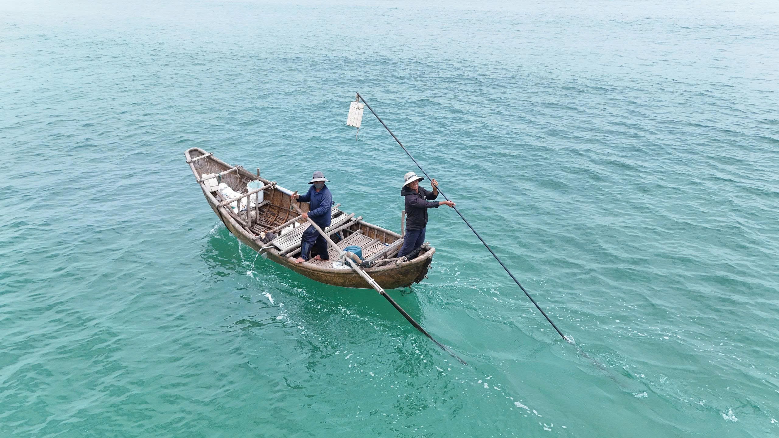 Ngư dân Quảng Ngãi kiếm tiền triệu mỗi ngày nhờ con ốc bé tẻo teo
