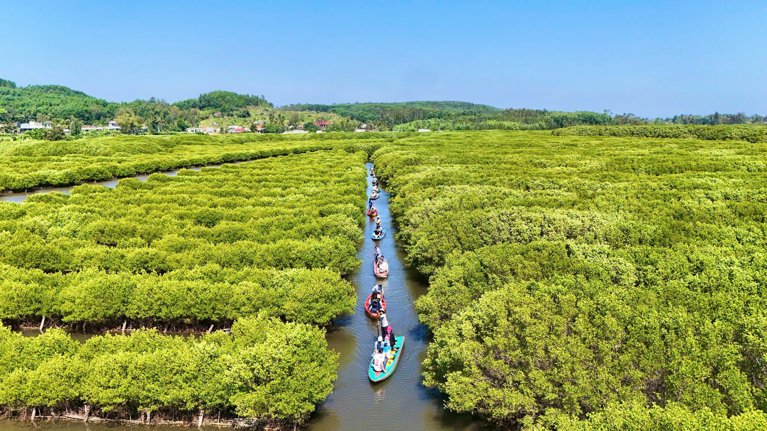 Khám phá rừng ngập mặn Bàu Cá Cái giữa lòng Dung Quất