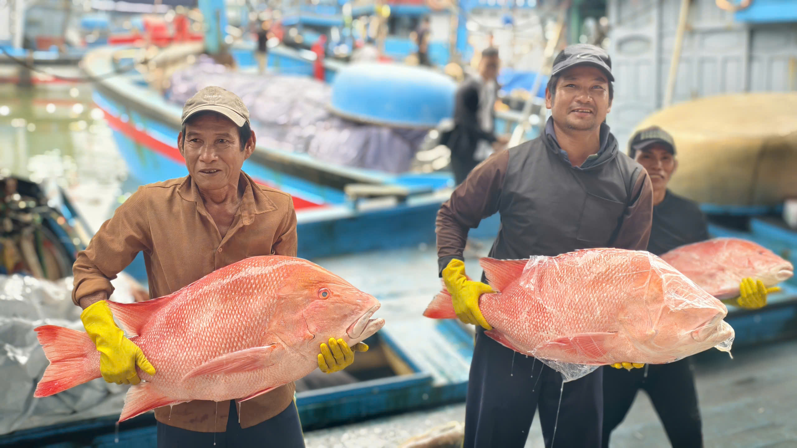 Lộc biển của ngư dân Quảng Ngãi giữa bão giá nhiên liệu