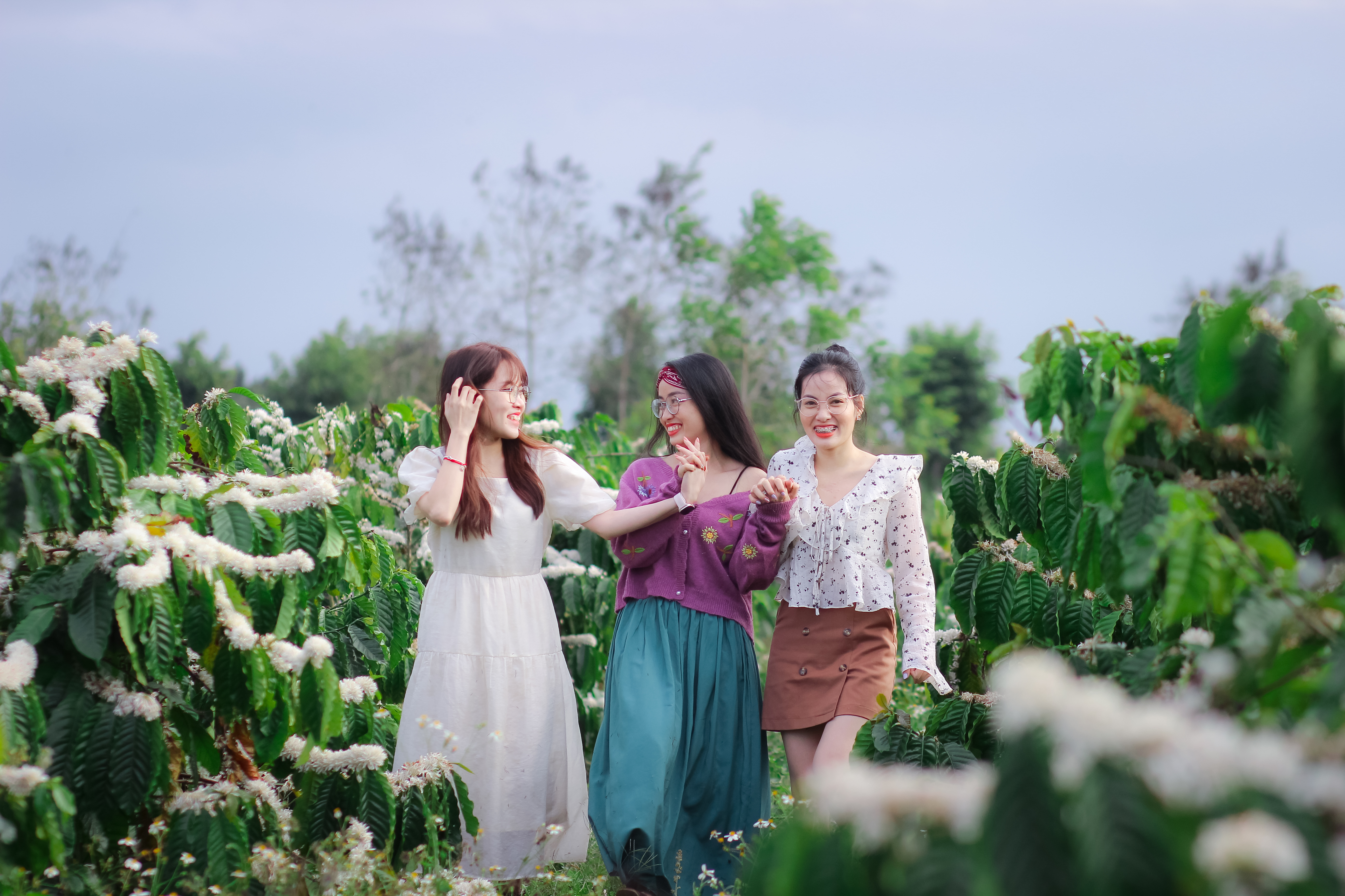 Những 'đồi tuyết trắng’ trên cao nguyên 