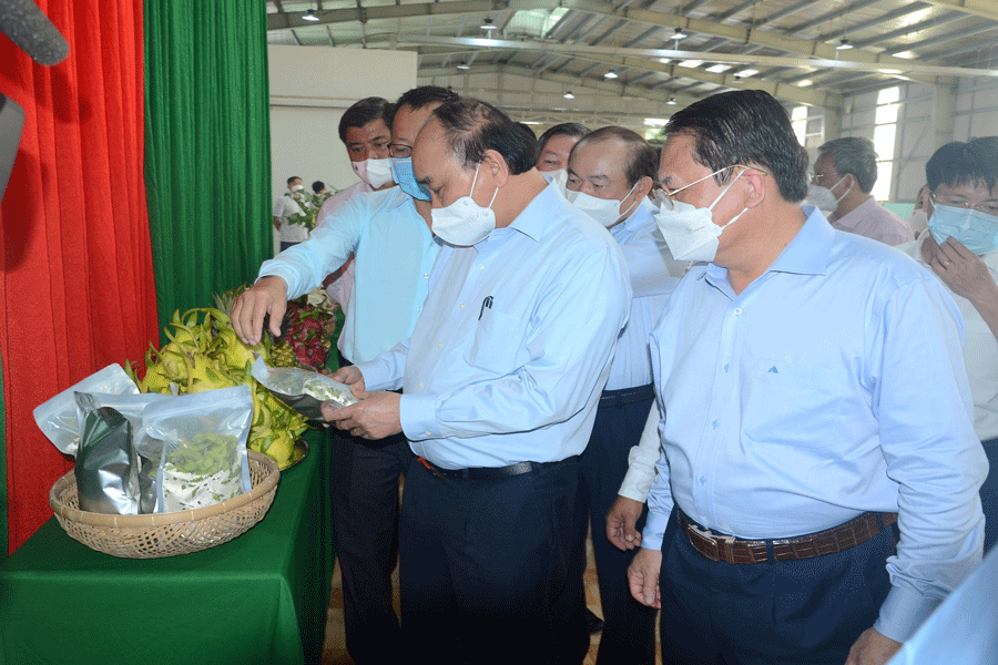 Chủ tịch nước: Cần có cơ chế tốt hơn để phát triển kinh tế hợp tác