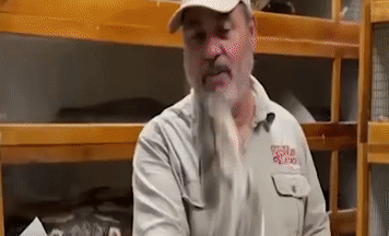 Chủ vườn thú bị trăn khổng lồ lao thẳng vào mặt