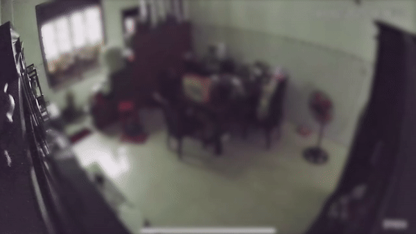 Camera cận cảnh ‘bé Na khổng lồ’ thăm nhà Mùng 3 Tết Ất Tỵ khi gia chủ đang đi du lịch