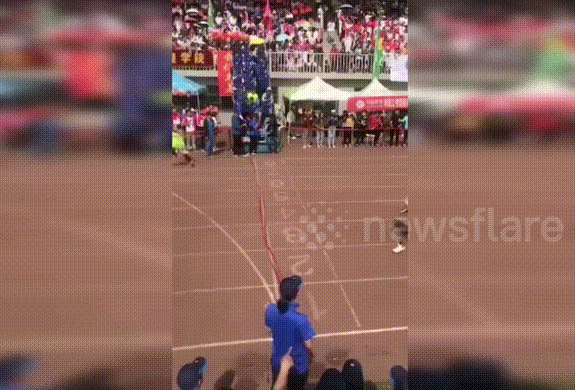 ‘Vận động viên cún’ bất ngờ giành giải Á quân việt dã