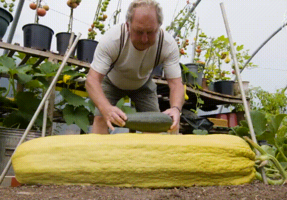 Video: Choáng với khu vườn trồng toàn cây trái khổng lồ