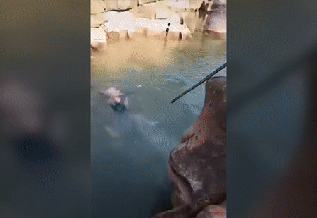 Nhà ngoại giao Anh cứu sinh viên Trung Quốc khỏi chết đuối