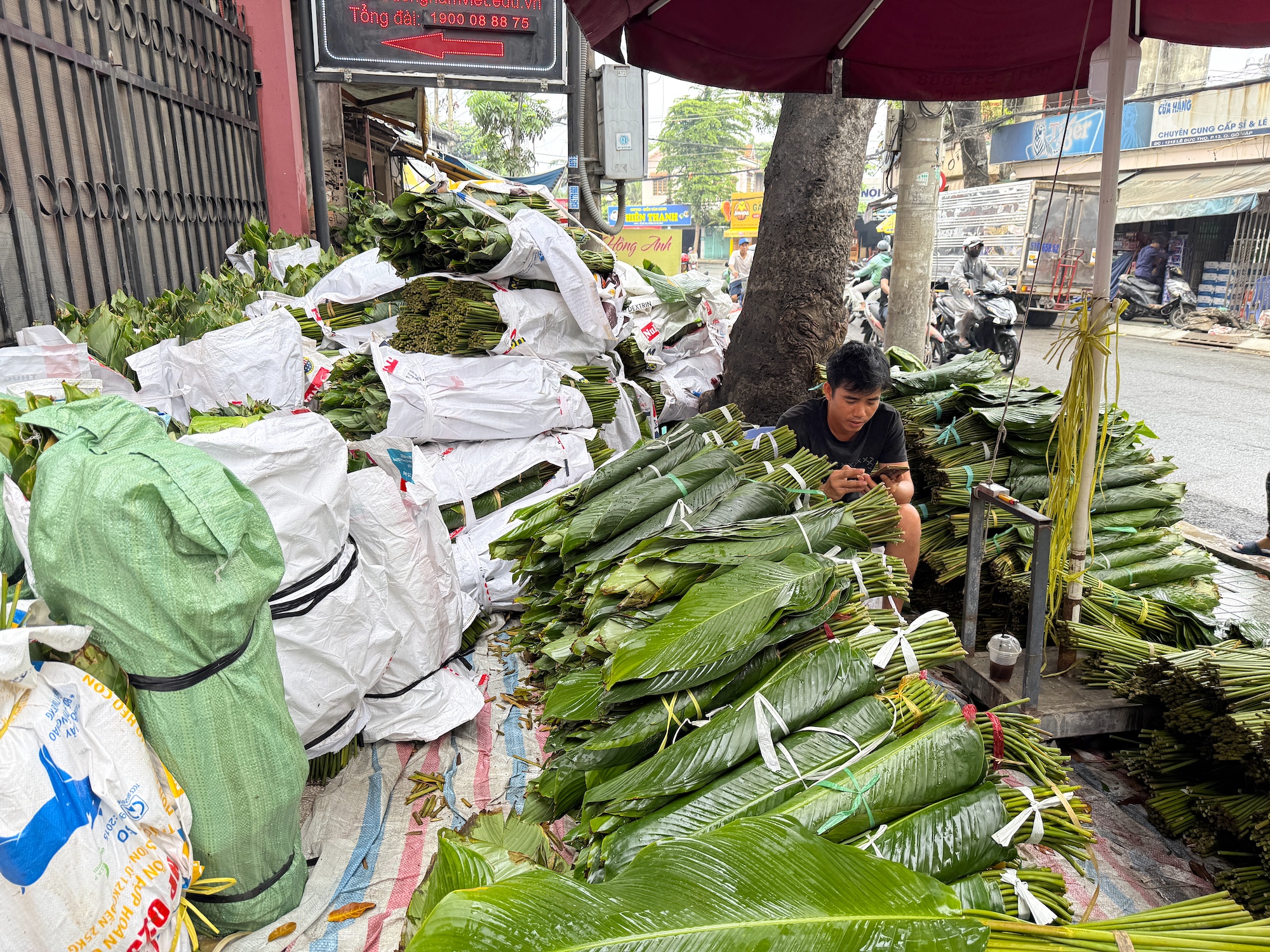 Tiểu thương bán lá dong 'ngồi trên đống lửa', giảm giá vẫn lo mất Tết